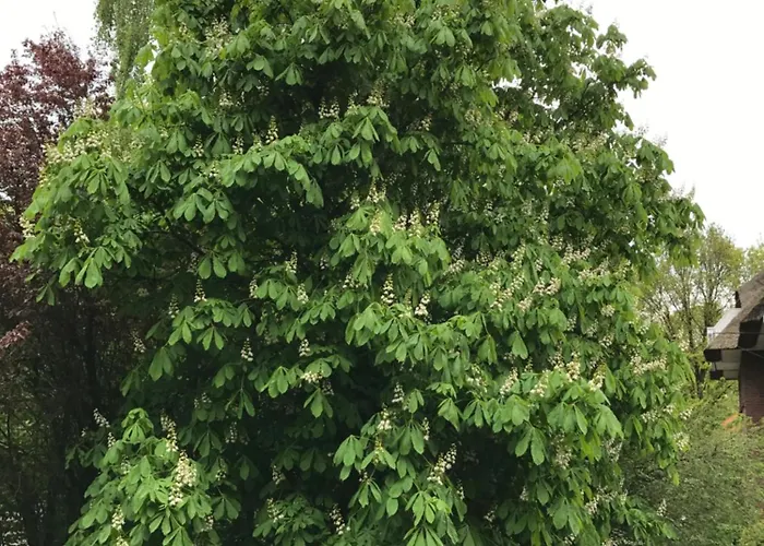 Backbordkajuete 公寓 丹加斯特